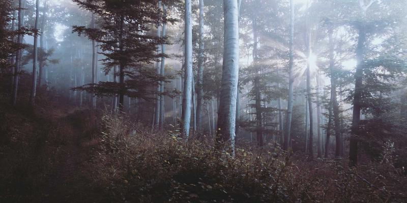 5G如何重塑物联网生态?技术分享与编程资源全解析