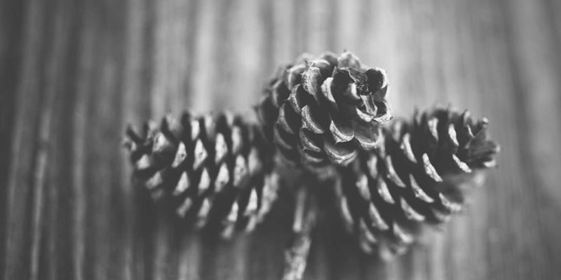 从手动配置到智能意图:揭秘意图驱动网络如何重塑IT架构与开发者学习路径