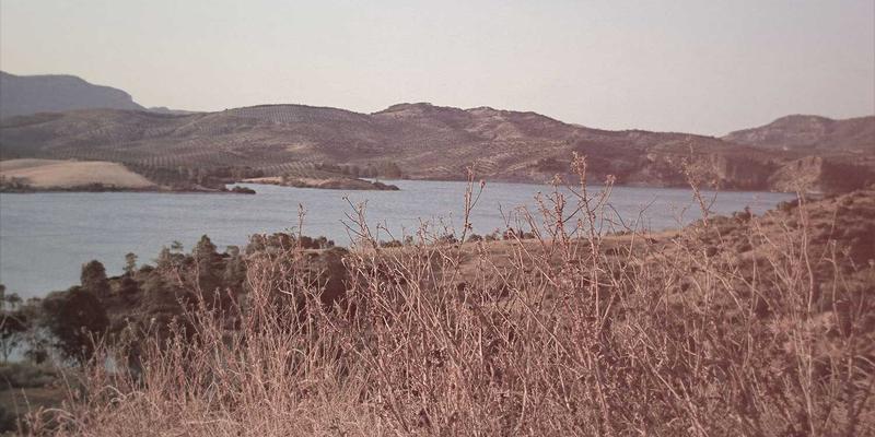 当网络自组织:深度解析Ad-hoc与Mesh网络在应急通信与物联网中的核心部署与智能路由协议