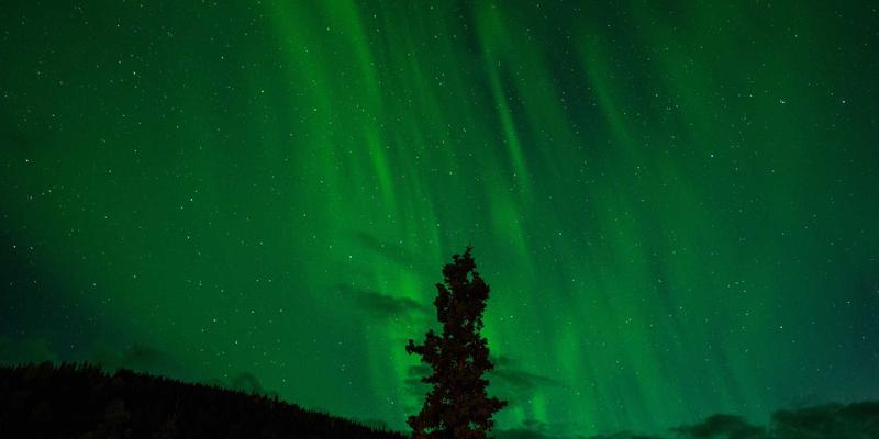 数字化转型加速器:如何善用网络技术、IT工具与学习资料构建企业核心竞争力