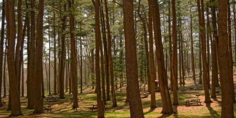 边缘计算与云计算协同:网络技术挑战与实战解决方案深度解析